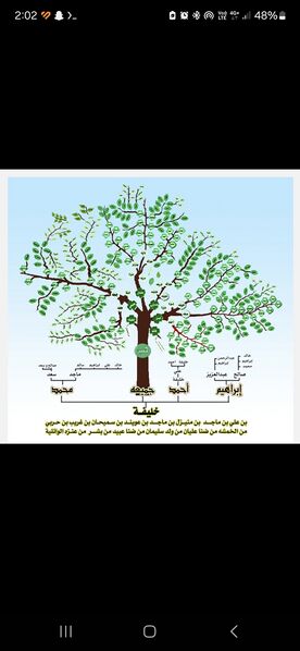 ملف:شجرة عائلة الجميعة.jpg